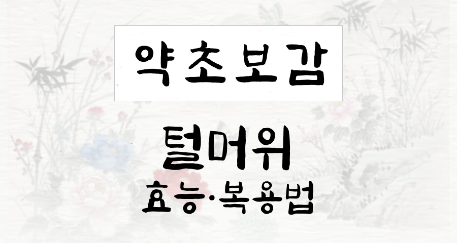 털머위