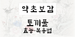 토끼풀