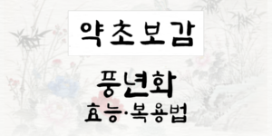 풍년화