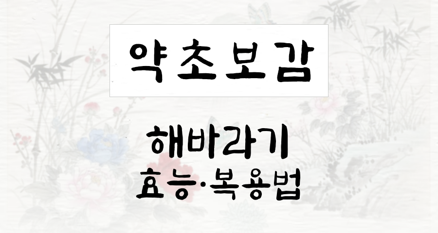 해바라기