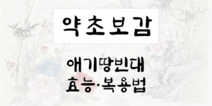 애기땅빈대
