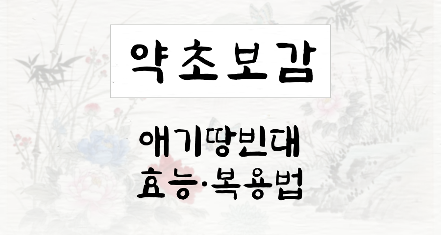 애기땅빈대