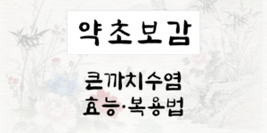 큰까치수염