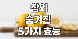 여름의 보석, 참외: 달콤한 유혹 뒤에 숨겨진 5가지 반전 효능 (ft. 다이어트 핵심 꿀팁)